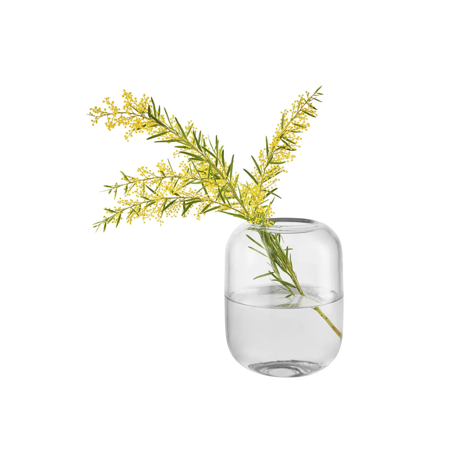Eva Solo Vaser * Acorn vase, clear