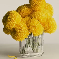 Georg Jensen Vaser * Bernadotte Oval Vase