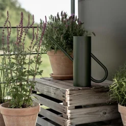 Stelton Botanik-Bloom blomstervandkande,