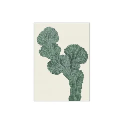 Poster & Frame Plakater & Rammer-Cactus Myrtillo