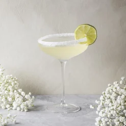 Eva Solo Glas * Champagne Coupe
