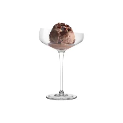 Eva Solo Glas * Champagne Coupe