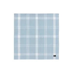 Lexington Bordtekstiler * Checked Recycled Cotton Oxford Napkin, blue/white