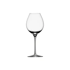 Orrefors Glas * Difference Fruit vinglas