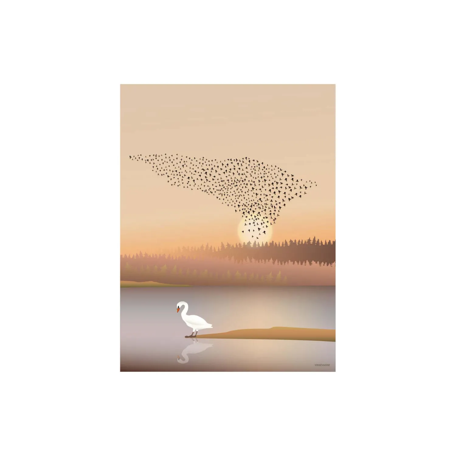 ViSSEVASSE Plakater & Rammer-Murmuration plakat