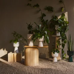 Iittala Botanik-Nappula urtepotte small high, hvid