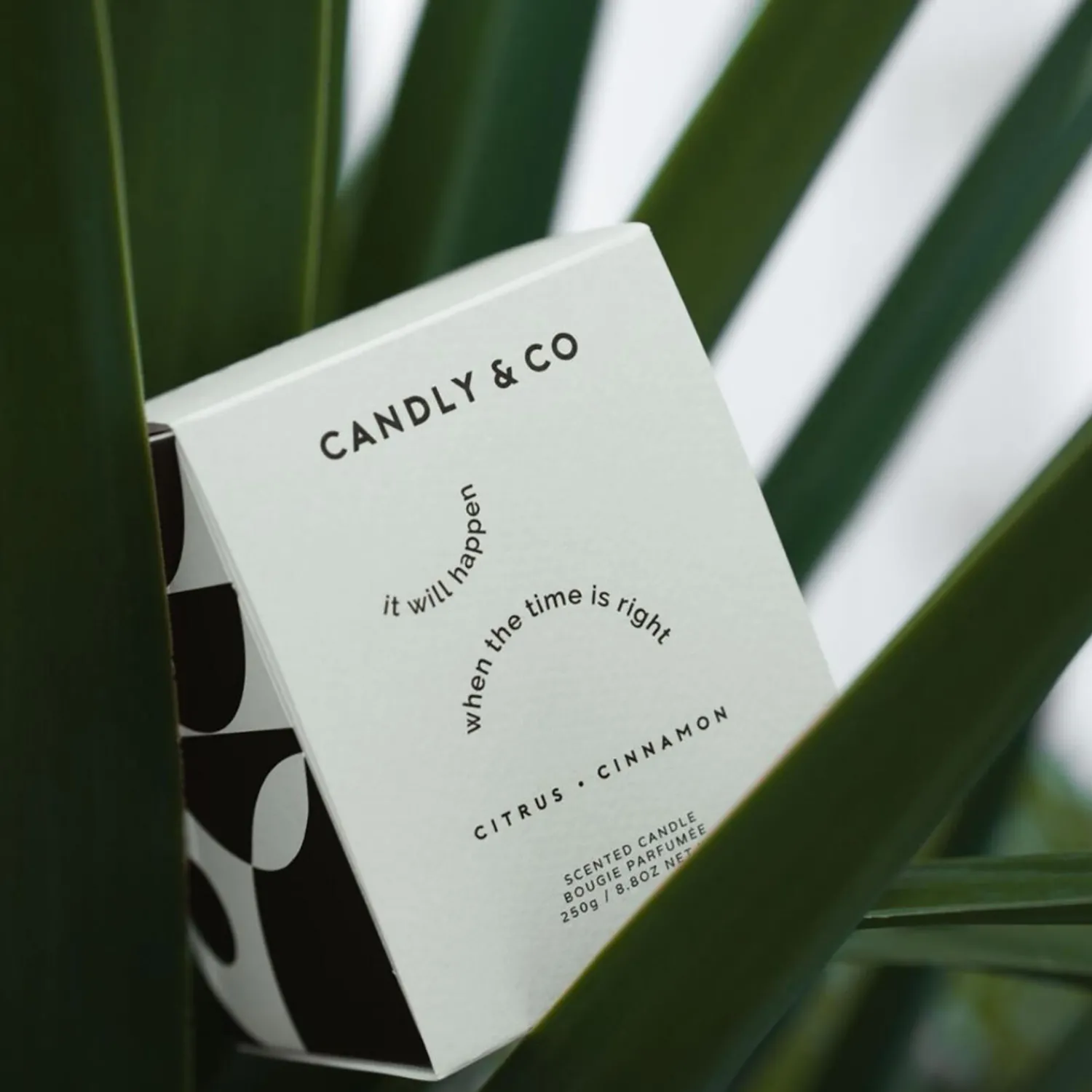 Candly & Co Lys & Duftlys * No. 3 Candle, It will happen when the time is right