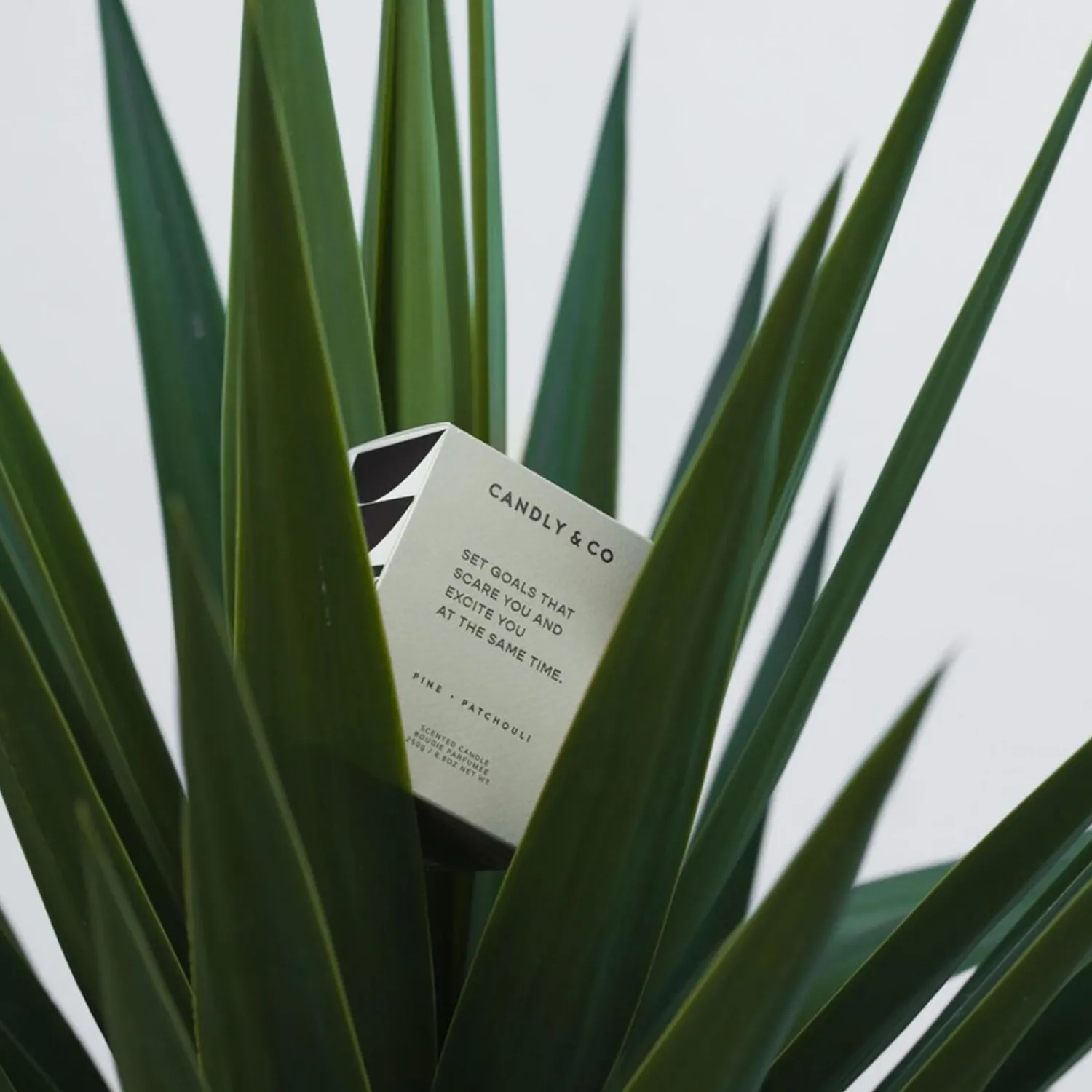 Candly & Co Lys & Duftlys-No. 4 Candle, Set goals that scare you and excite you at the same time