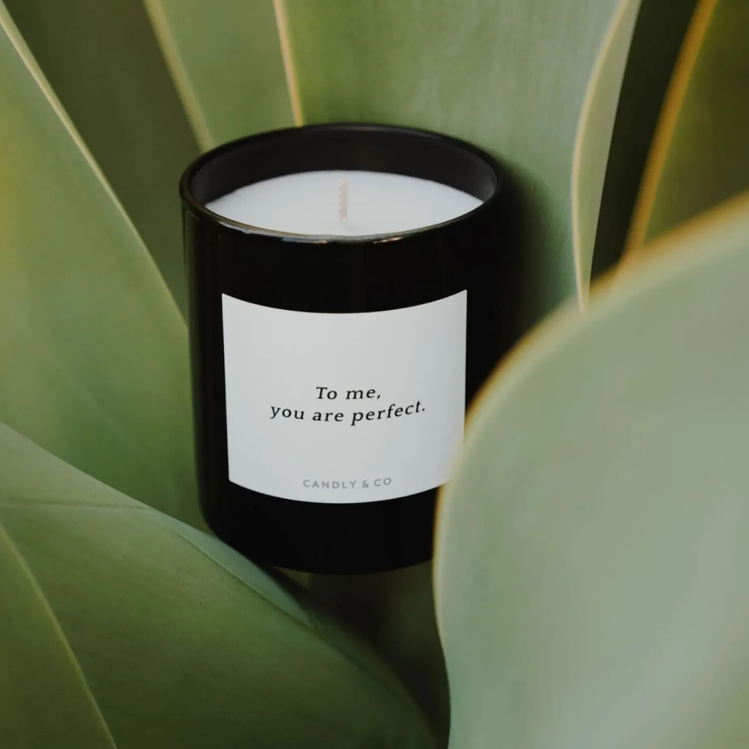 Candly & Co Lys & Duftlys * No. 8 Candle, To me, you are perfect