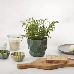 Dottir Nordic Design Botanik * Samsurium blomsterkrukke, spruce
