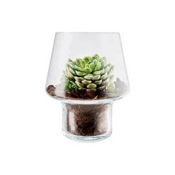 Eva Solo Vaser-Sukkulent vase