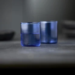 Lyngby Glas Glas * Torino shotglas 2 stk.,