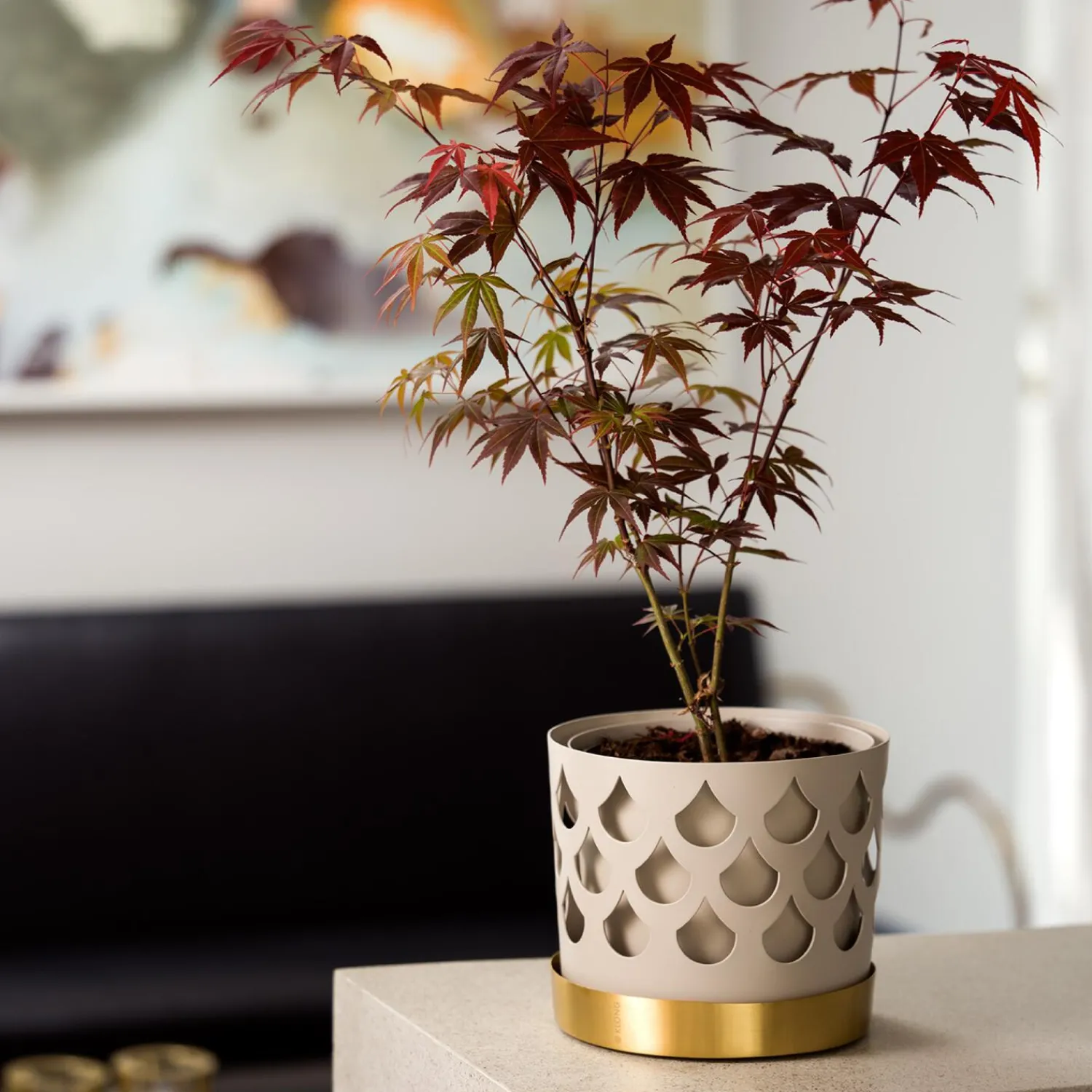 Klong Botanik * Trio Drop Flowerpot Medium