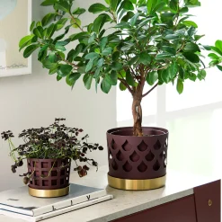 Klong Botanik * Trio Drop Flowerpot Medium