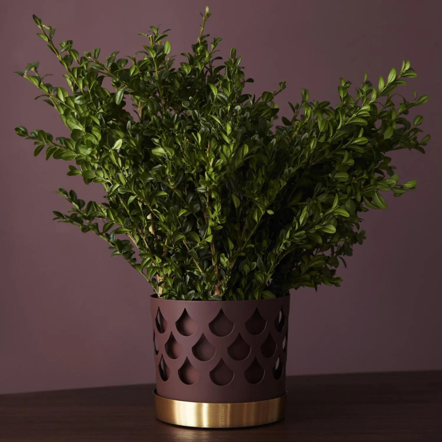 Klong Botanik * Trio Drop Flowerpot Medium