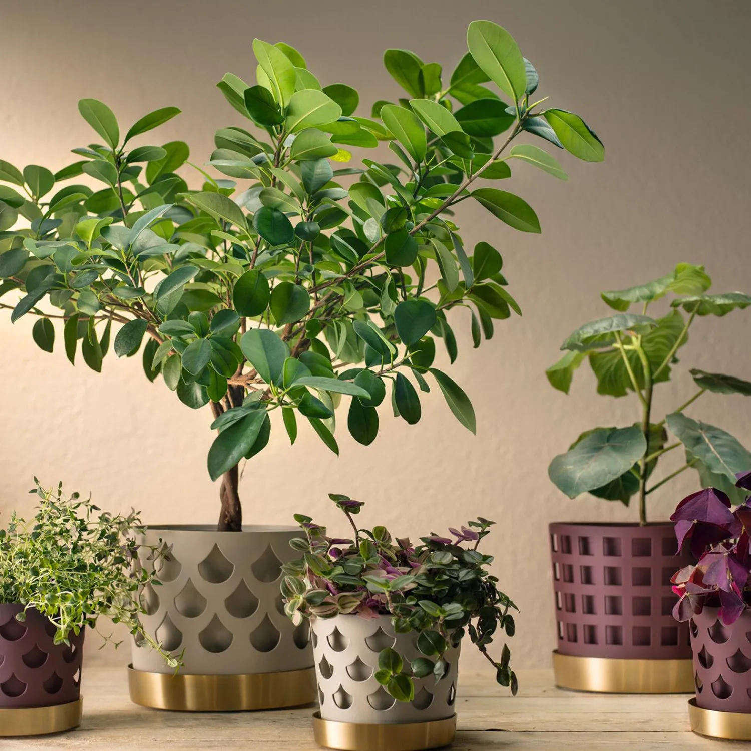 Klong Botanik * Trio Drop Flowerpot Small